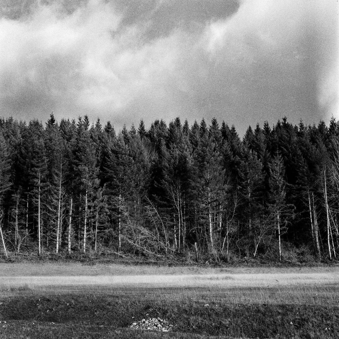 A dense forest stands behind a grassy field under a cloudy sky.