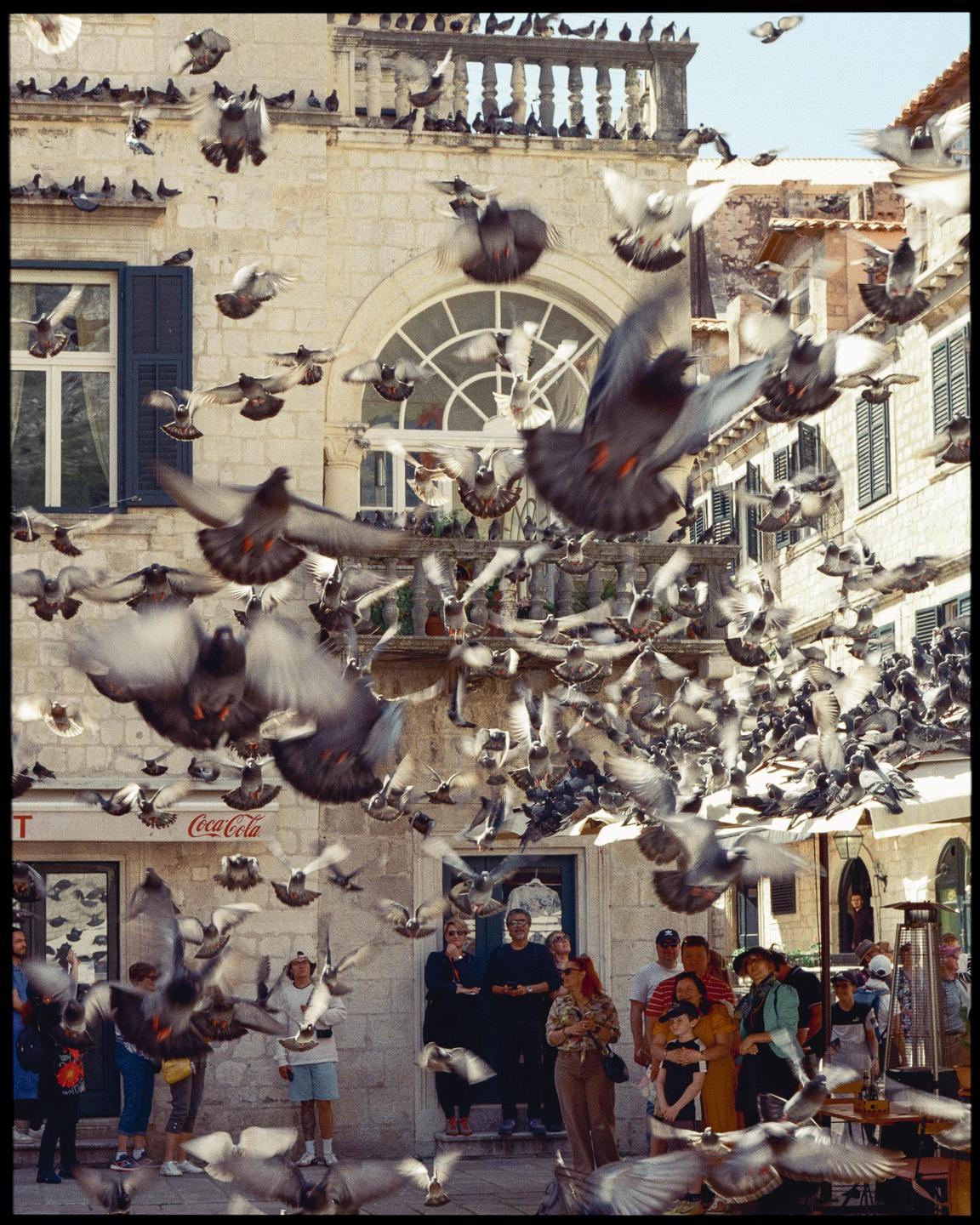A large flock of pigeons flies around a group of people standing in front of a building with a Coca-Cola sign.