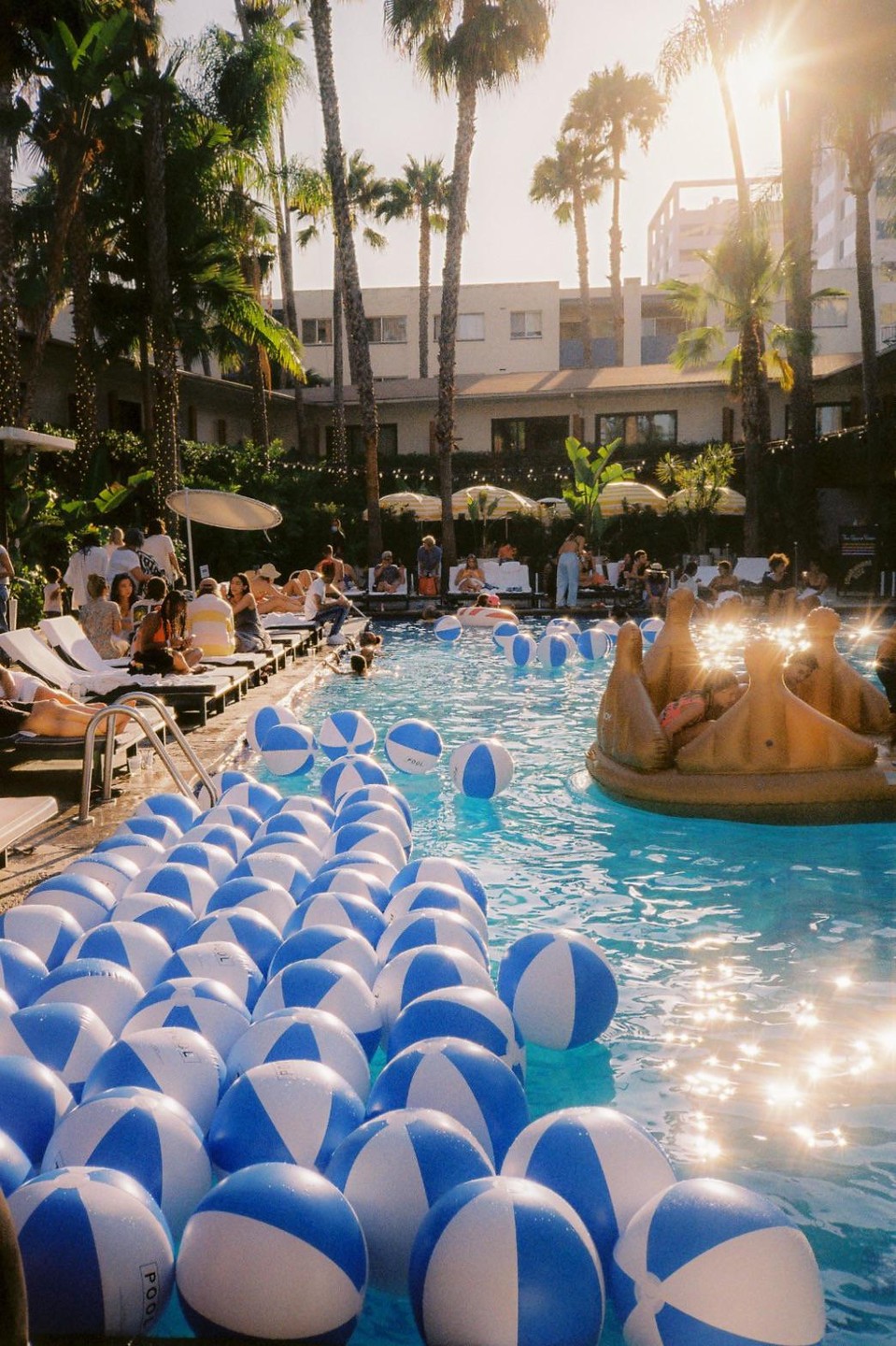 A swimming pool filled with blue and white beach balls is surrounded by people lounging and palm trees under a bright sun.