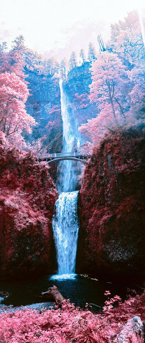 A tall waterfall cascades down a rocky cliff, with a bridge crossing between two sections of the falls, surrounded by trees with pink foliage.
