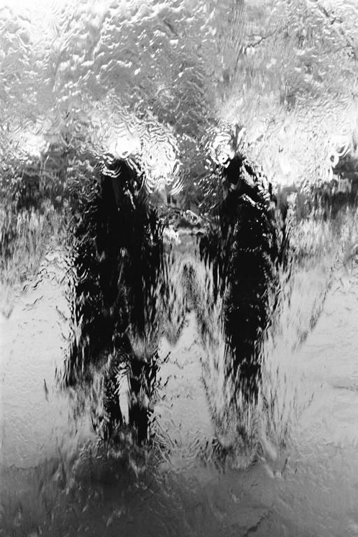 Two abstract figures are visible through a textured, watery surface.