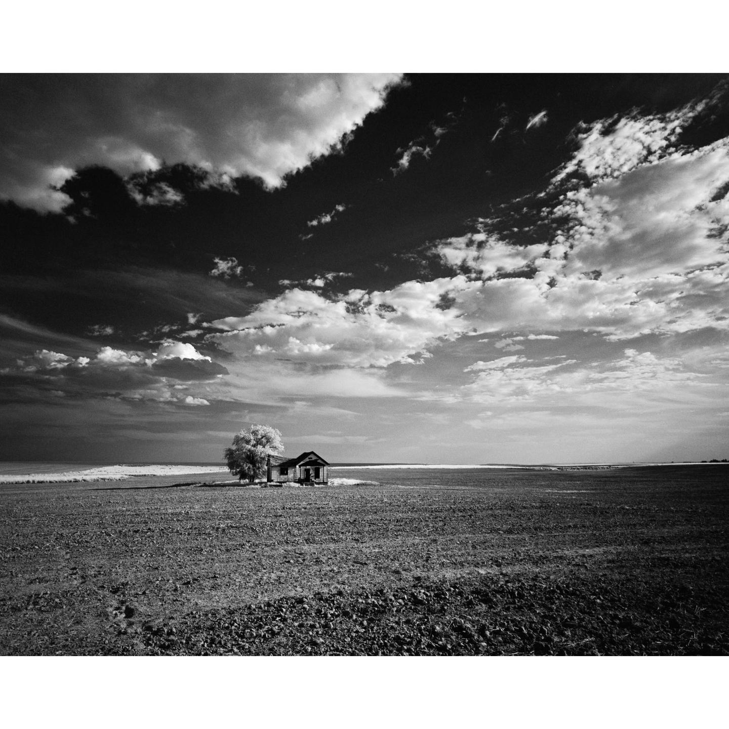 An abandoned farmhouse stands next to a tree in a vast field under a dramatic sky.