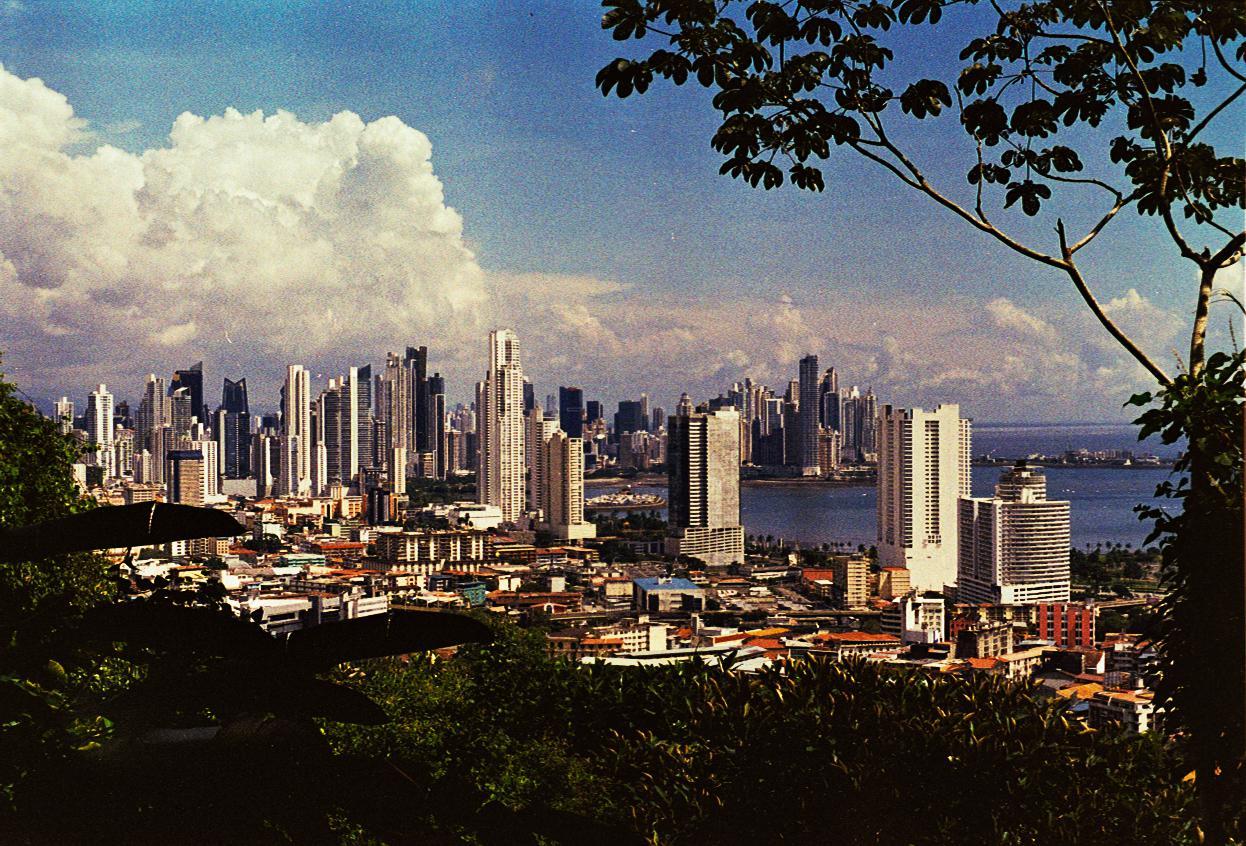 A city skyline with many tall buildings is visible from a hill, with a body of water and clouds in the background.