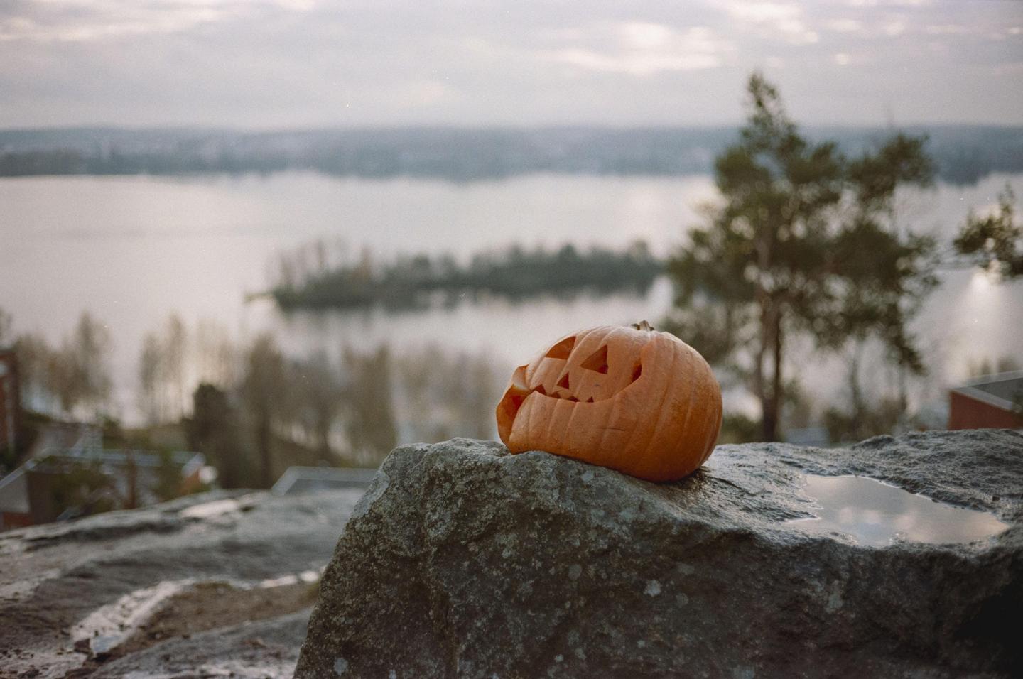 A carved pumpkin sits on a rock overlooking a body of water with trees and buildings in the distance.