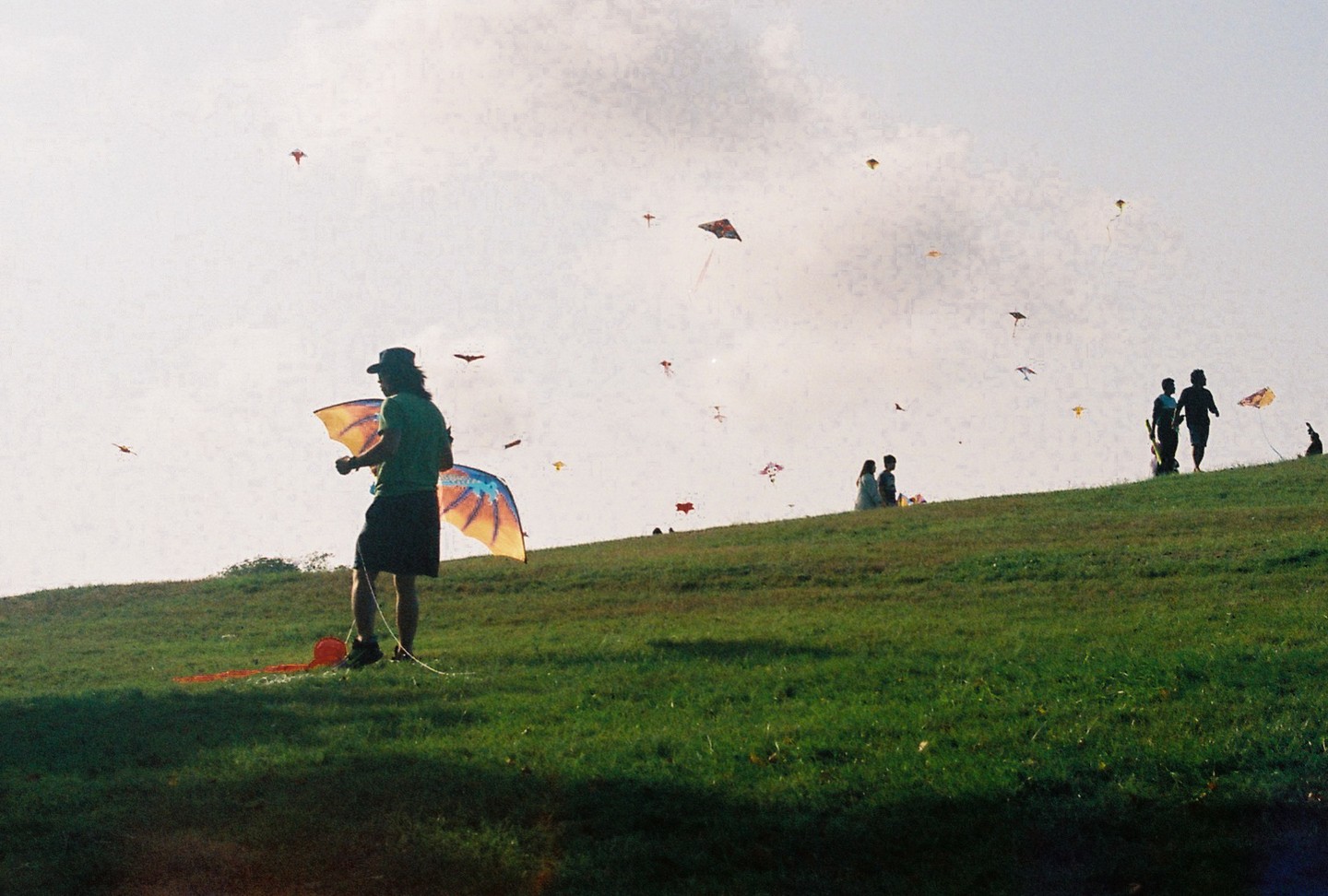 A man stands on a grassy hill holding a kite string while many kites fly in the sky.