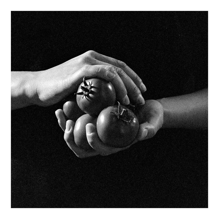 Two hands hold three tomatoes against a dark background.