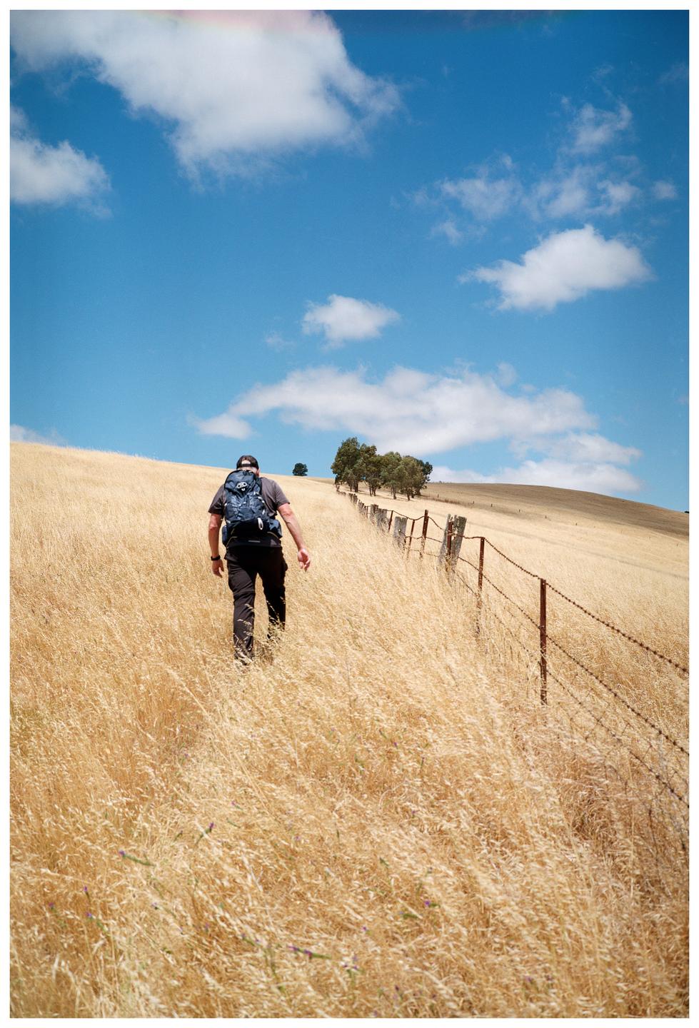A man with a backpack walks up a hill covered in dry grass next to a barbed wire fence.