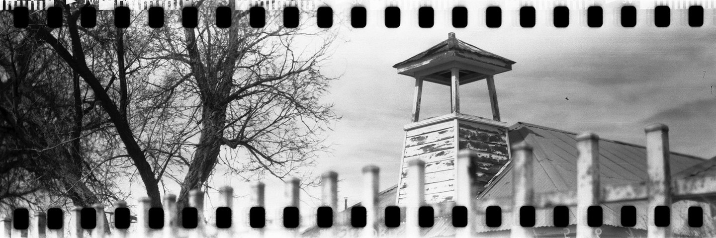 A bare tree stands next to a weathered building with a small cupola, seen through a blurry fence.