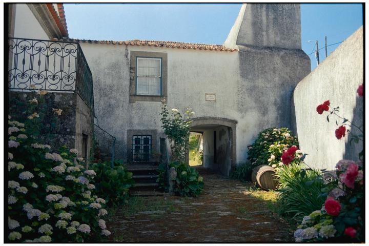 A stone courtyard with flowering bushes and a wooden barrel leads to an arched entryway in a white building.