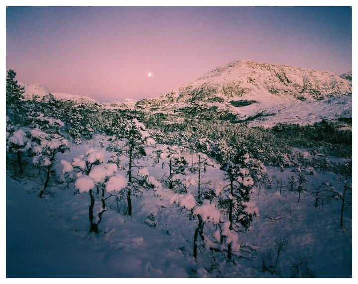A full moon hangs in a pink sky over a snow-covered mountain and forest.