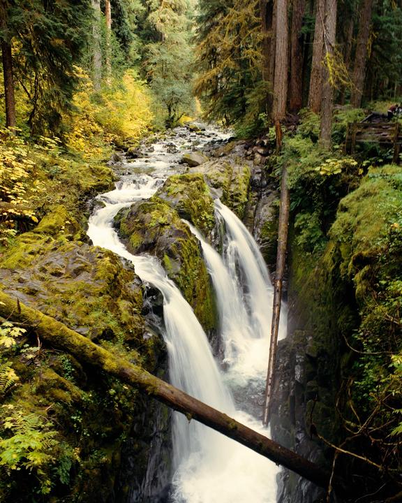 A river flows through a forest with waterfalls and moss-covered rocks.