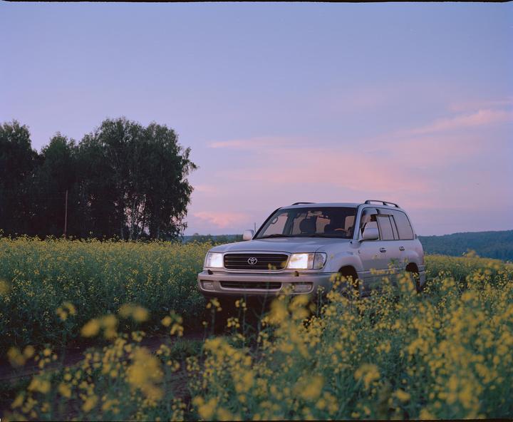 A silver sport utility vehicle is parked in a field of yellow flowers under a pink and blue sky.