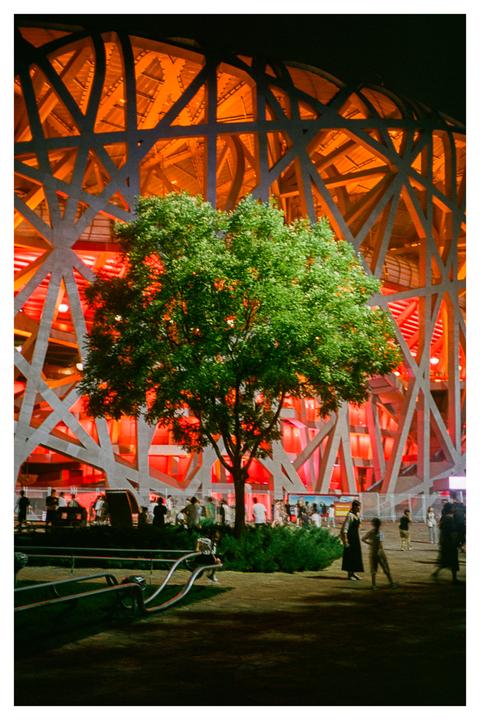 A tree stands in front of the illuminated Bird's Nest stadium at night, with people walking around its base.