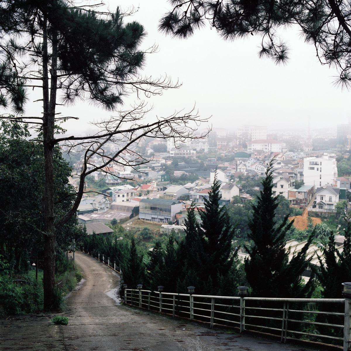 A winding road with a metal fence leads down a hill towards a town shrouded in mist, framed by pine trees.