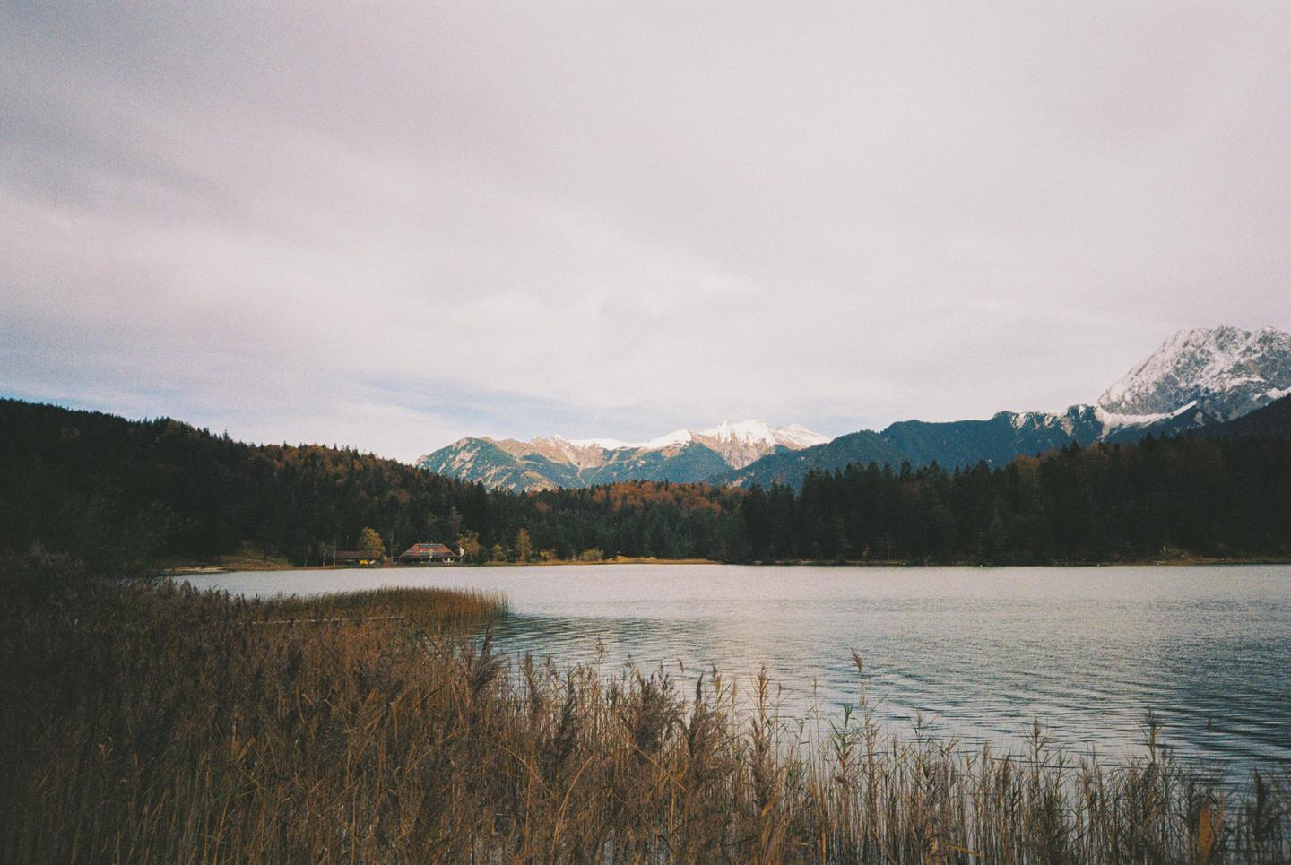 A lake with tall grass in the foreground is surrounded by a forest and snow-capped mountains under a cloudy sky.