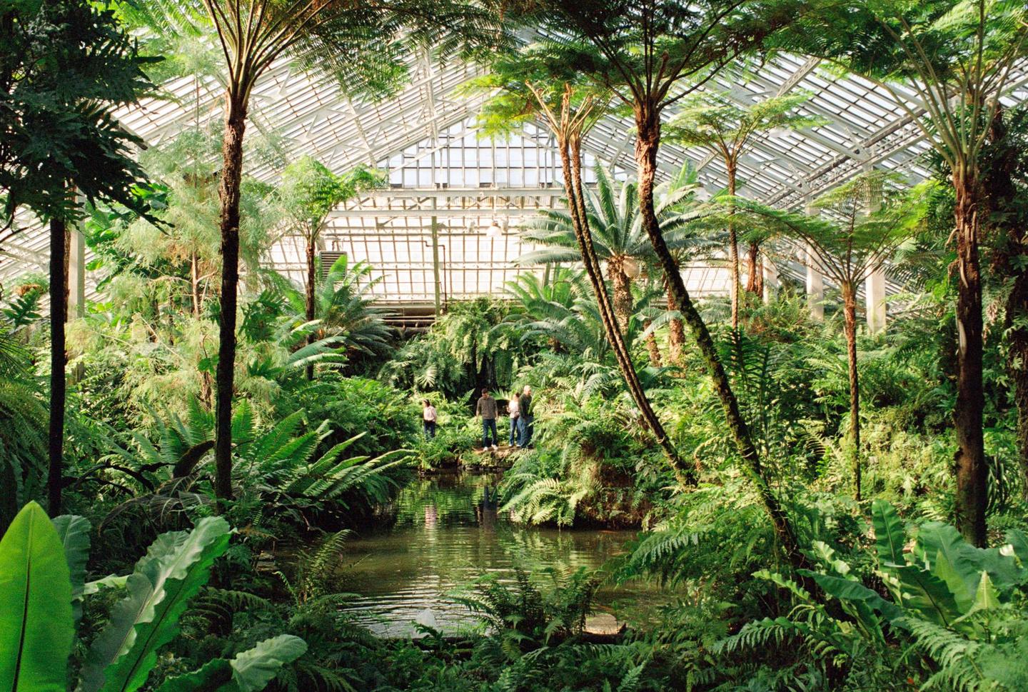 A lush indoor garden with a pond and several people is visible under a glass roof.