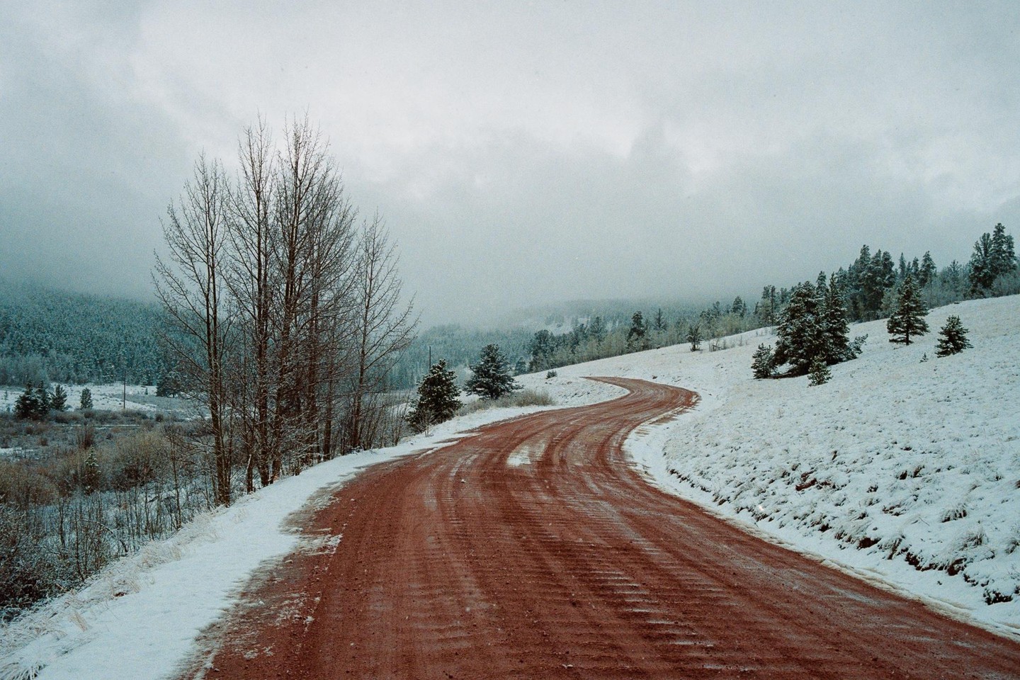 A winding dirt road cuts through a snowy landscape with evergreen trees and bare deciduous trees under a cloudy sky.