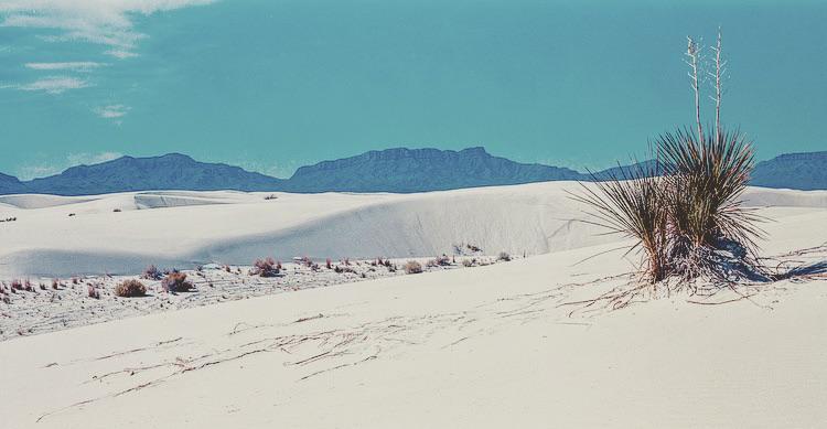 A desert landscape shows white sand dunes with sparse vegetation and mountains in the distance under a blue sky.
