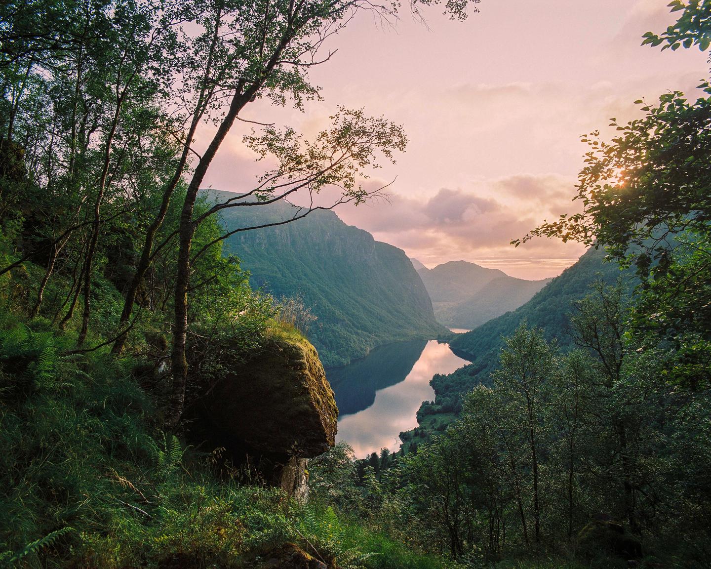 A body of water reflects the sky and mountains, framed by trees and foliage in the foreground.