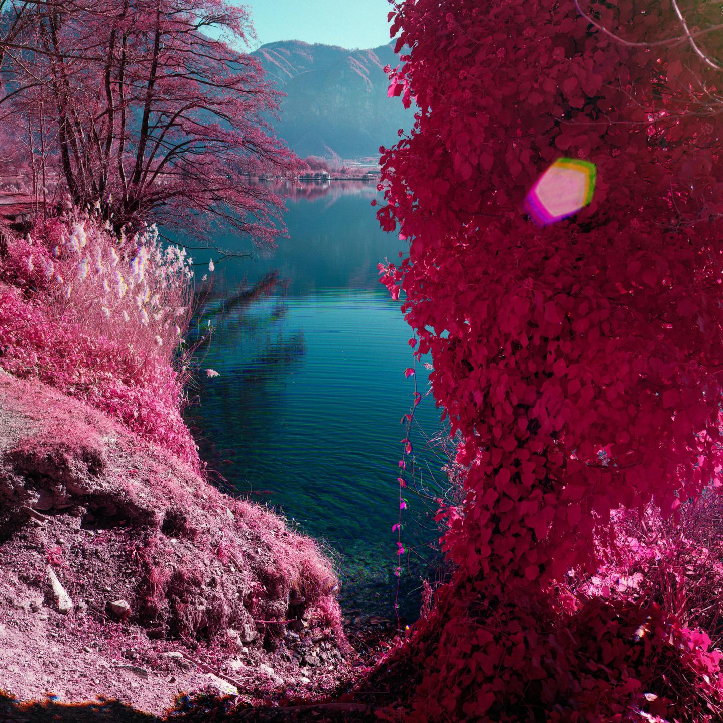 A body of water is surrounded by trees and mountains under a clear sky.
