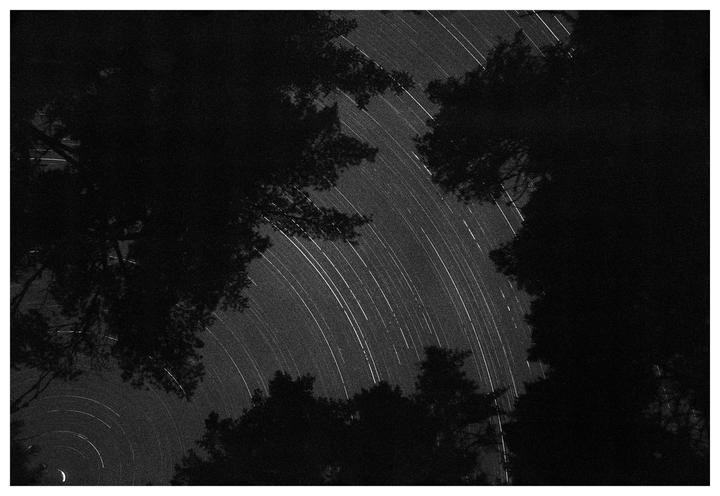 Star trails are visible in the night sky through a frame of dark tree branches.