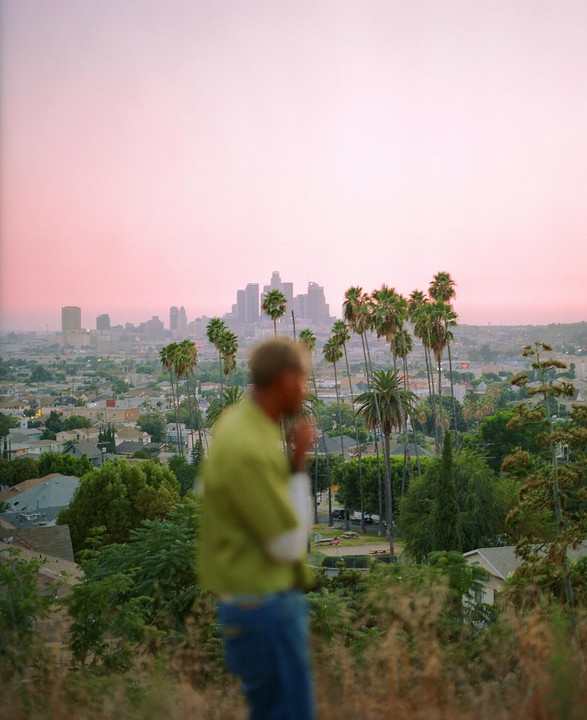 A man stands on a hill overlooking a city with palm trees and a pink sky.