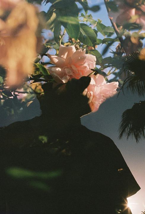 A double exposure shows a silhouette of a man overlaid with pink roses and green leaves against a blue sky.