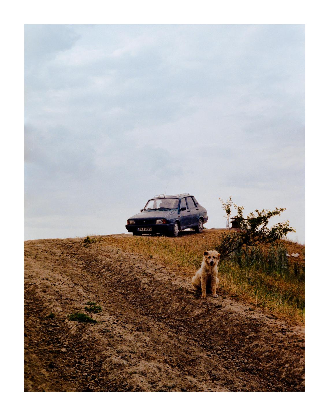 A dog sits on a dirt hill with a car parked behind it under a cloudy sky.