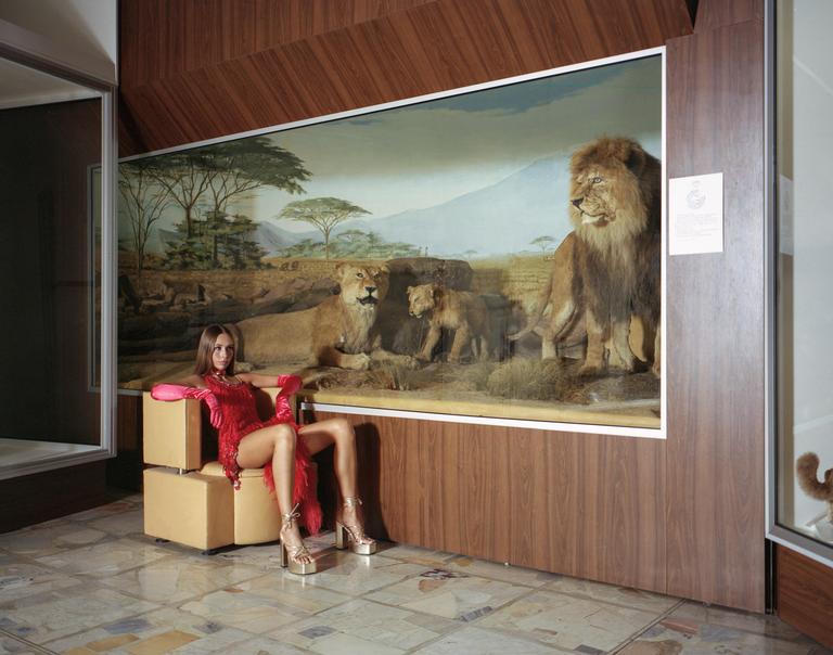 A woman in a red dress and pink gloves sits on a chair in front of a museum diorama of lions.