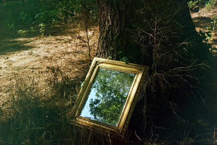 A gold-framed mirror leans against a tree trunk, reflecting the sky and green foliage.