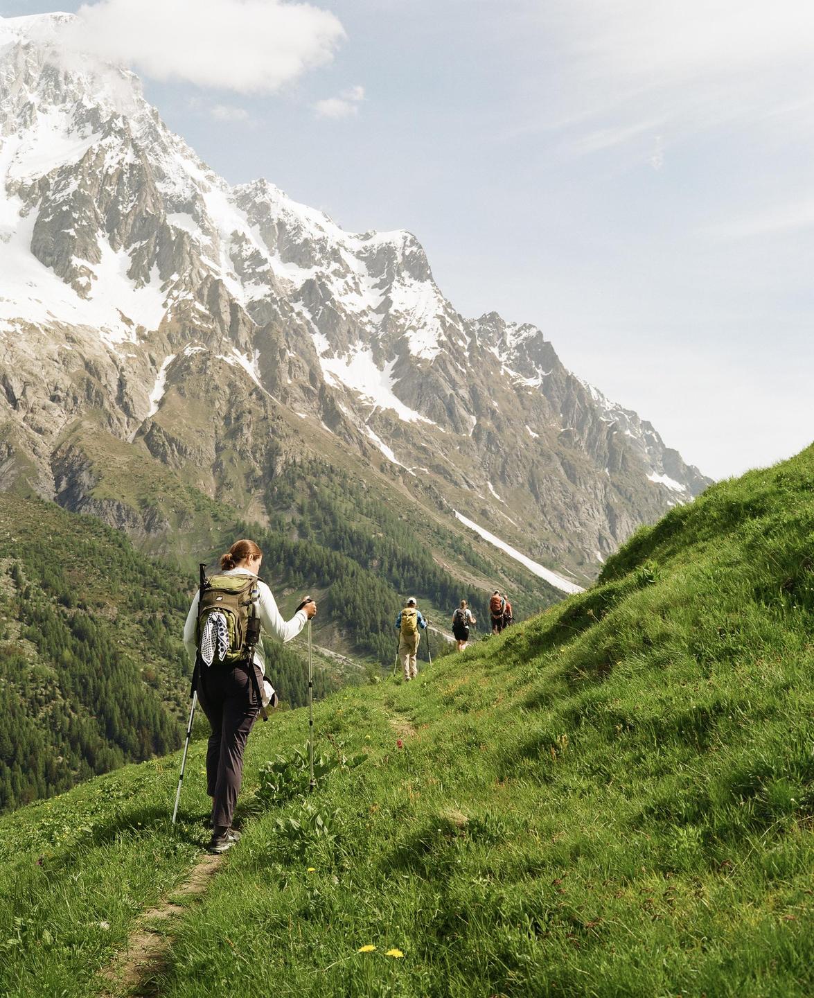 A group of hikers walk along a grassy mountain path with snow-capped mountains in the background.