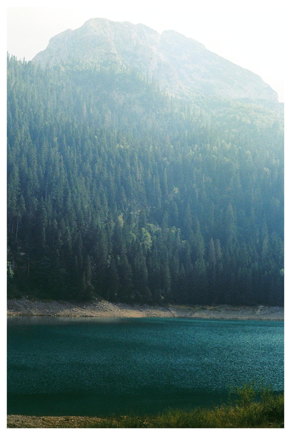 A mountain covered in pine trees rises above a lake with a rocky shore.