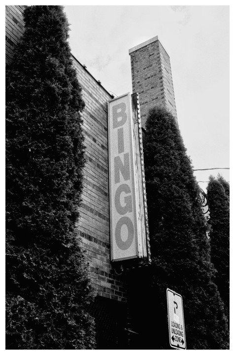 A tall, vertical "BINGO" sign is mounted on a brick building, flanked by dark, slender evergreen trees.