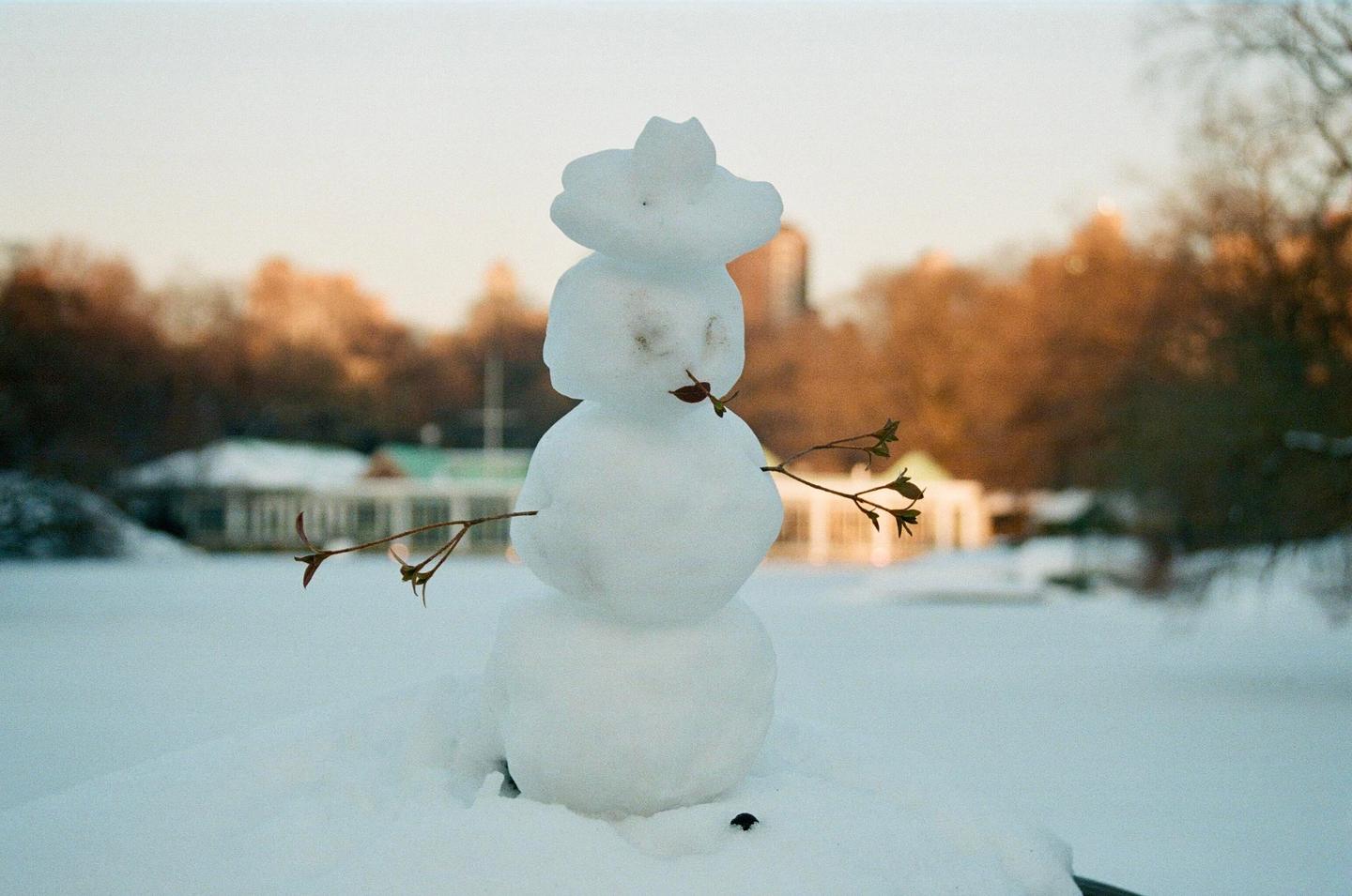 A small snowman with twig arms and a leaf for a mouth stands in a snowy landscape.