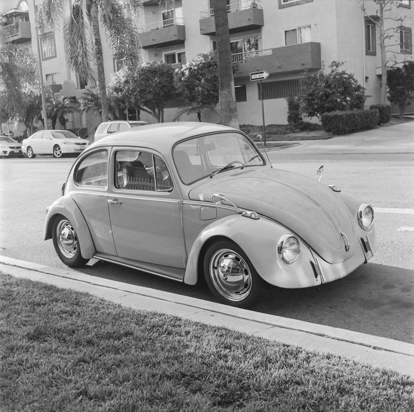A Volkswagen Beetle is parked on the side of a street with palm trees and buildings in the background.