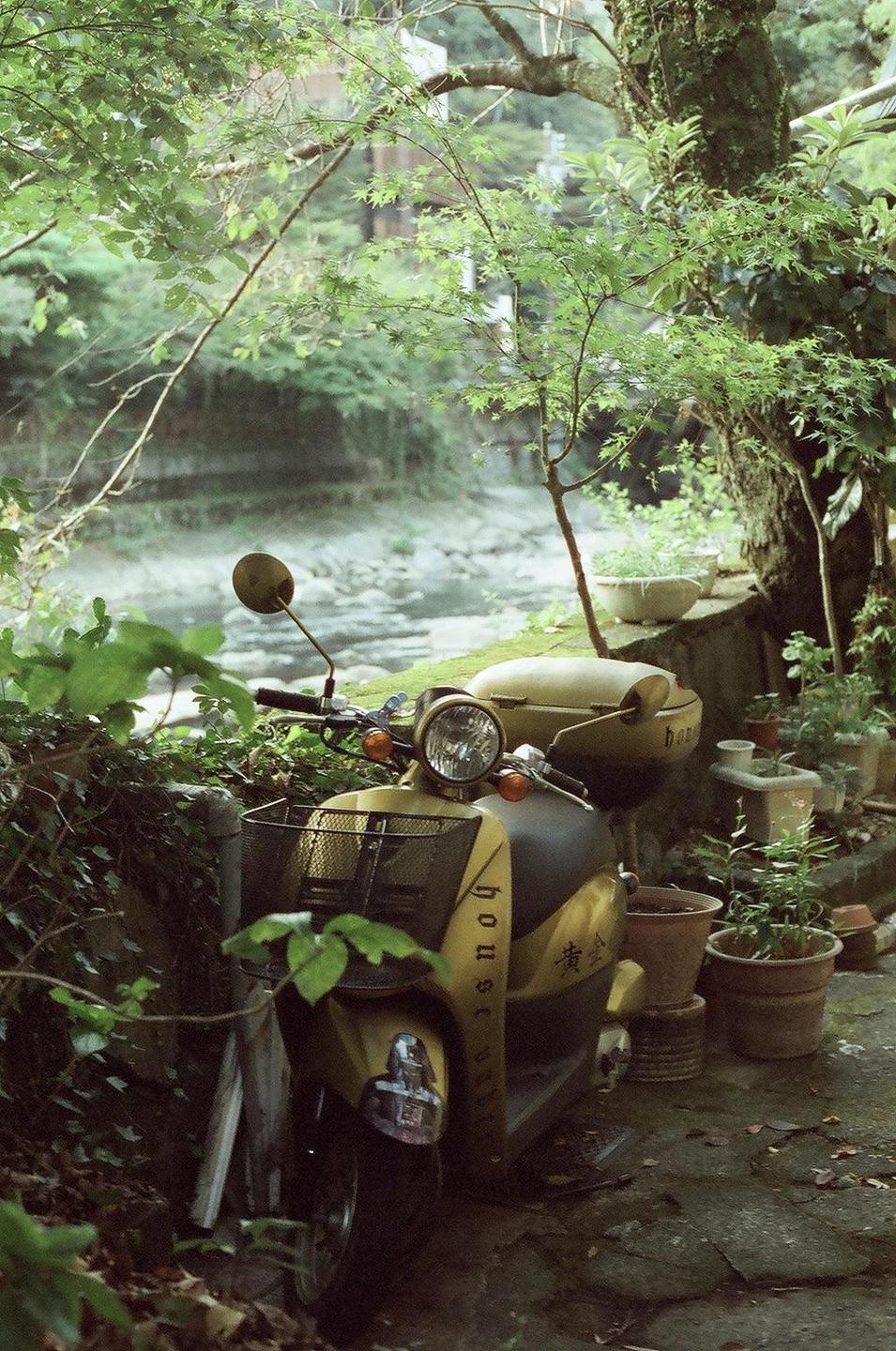 A yellow scooter is parked next to a river, surrounded by lush green foliage and potted plants.