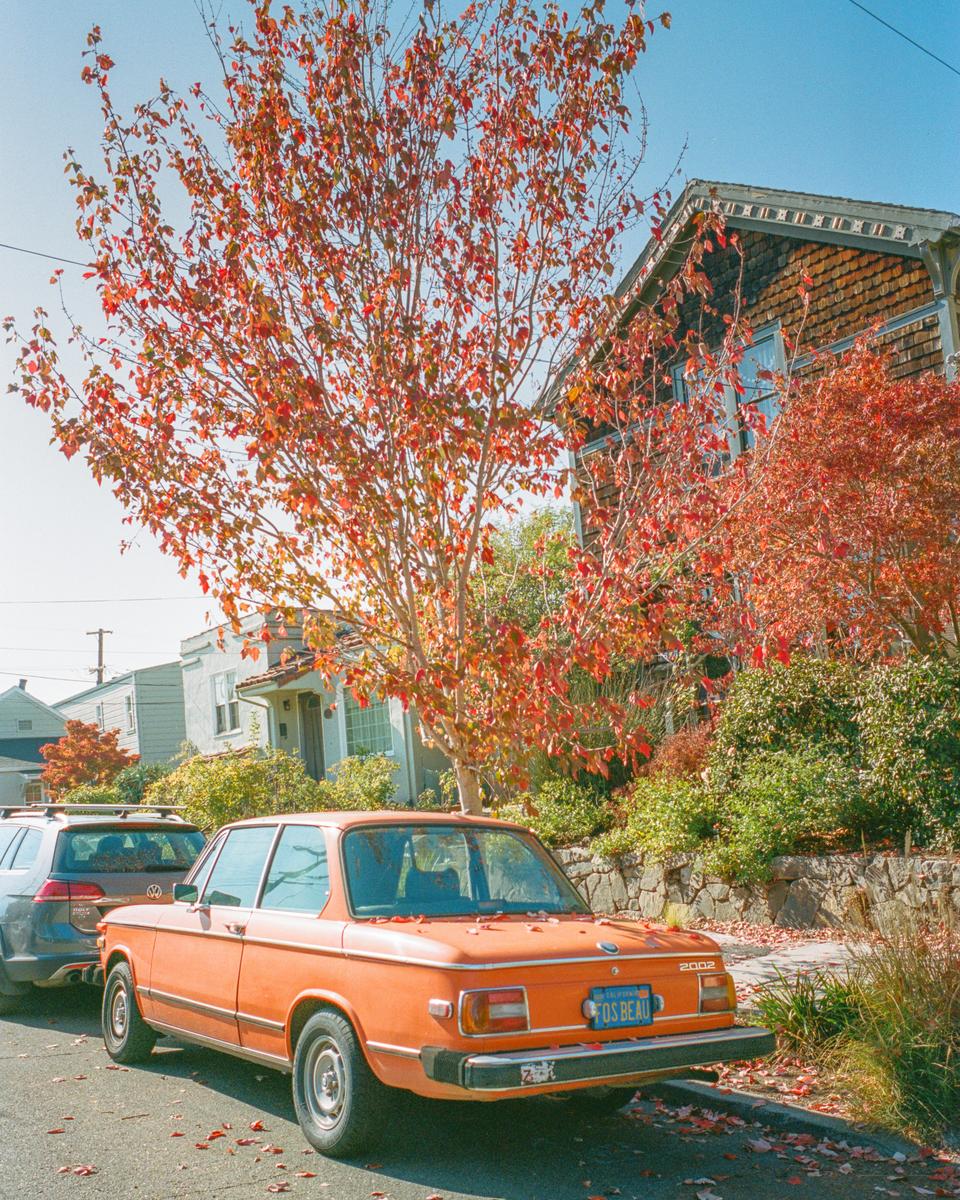 An orange car is parked on a residential street lined with houses and trees with autumn foliage.