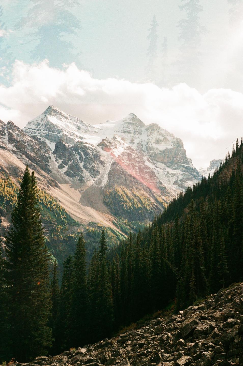 A double exposure shows a snow-capped mountain peak above a forest with a faint overlay of pine trees.