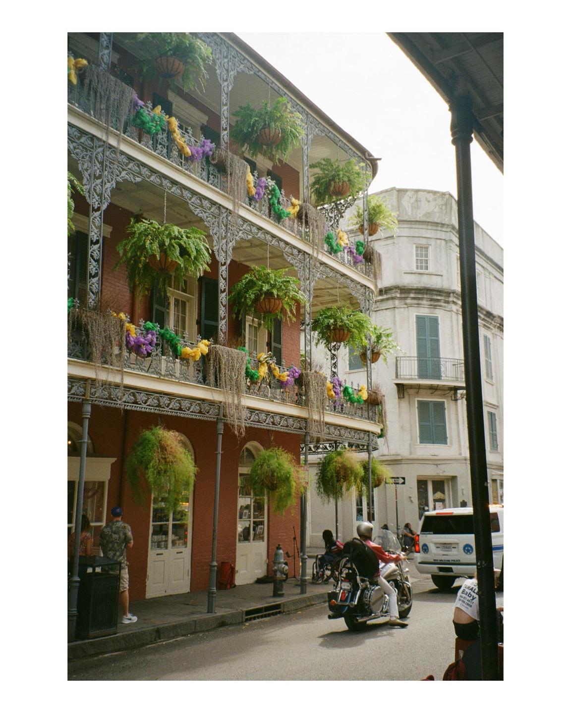 A street in New Orleans is lined with buildings featuring ornate balconies decorated with Mardi Gras beads and hanging plants, with a person on a motorcycle driving down the street.