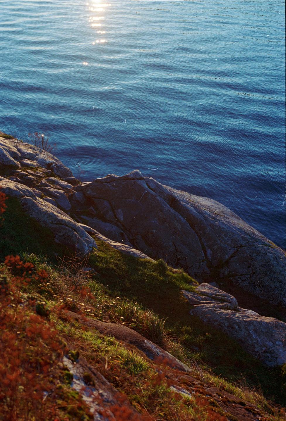 Sunlight reflects on the water next to a rocky, grassy shore.