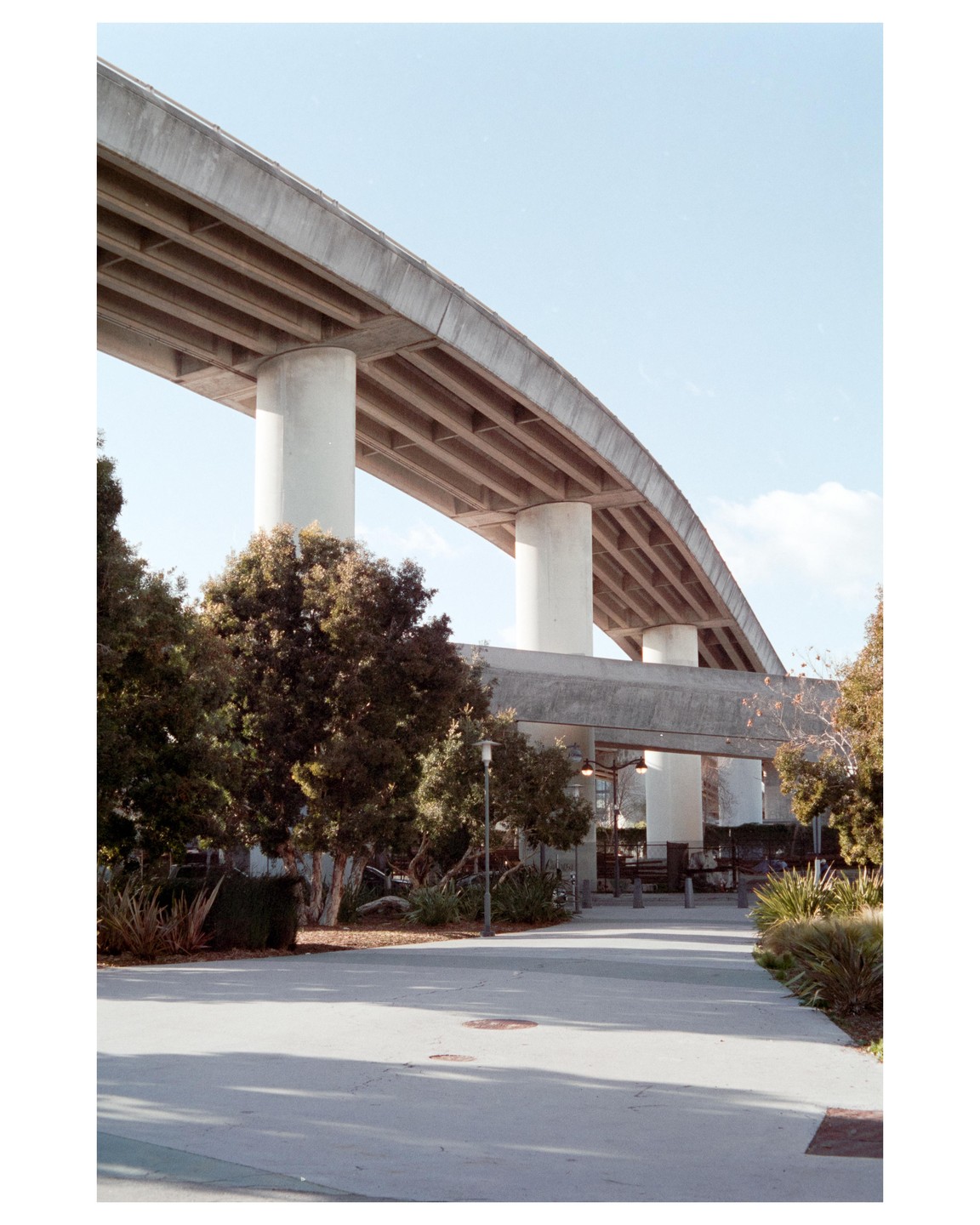 A concrete skyway supported by large pillars curves over a paved area with trees and bushes.