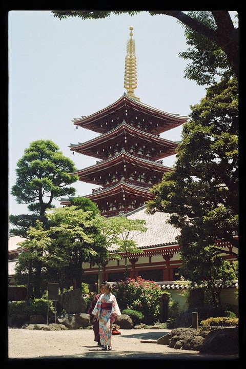 A woman in a kimono walks on a path in front of a pagoda and trees.