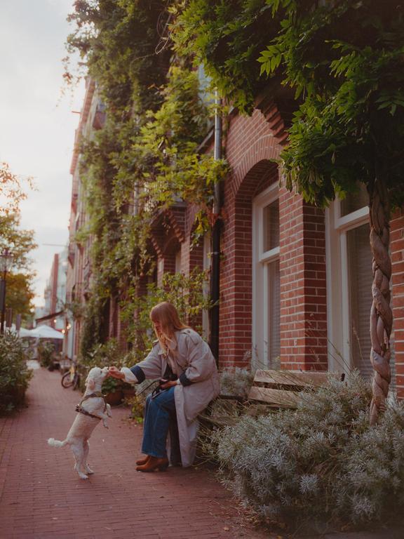 A woman sits on a bench and feeds a small dog on a brick sidewalk next to a brick building covered in vines.