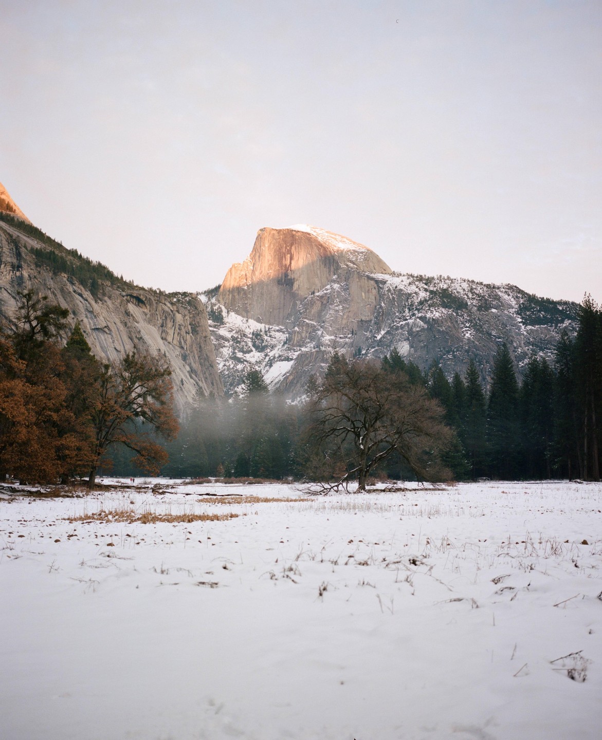 A snow-covered field with trees and mountains in the background, one of which is illuminated by golden light.