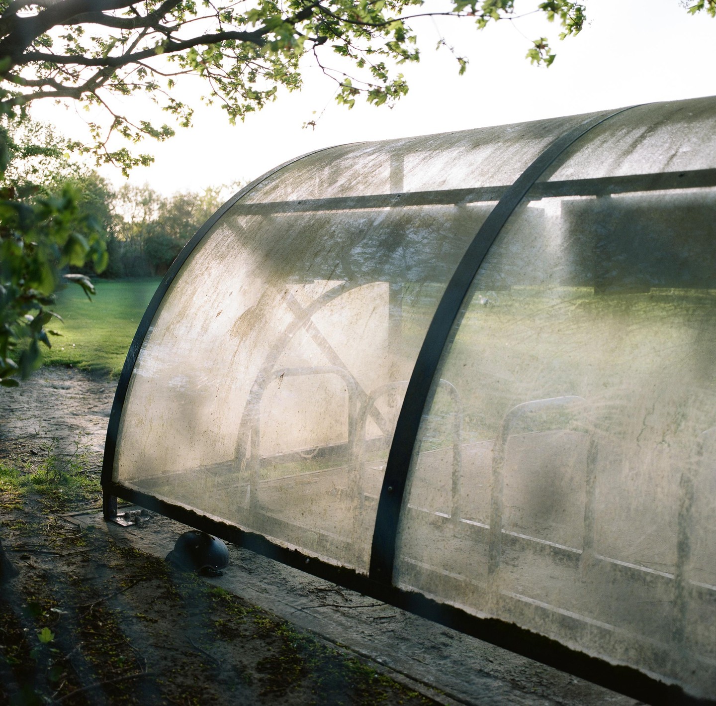 A transparent, arched structure with metal supports sits on the ground next to a grassy area, with tree branches visible at the top.