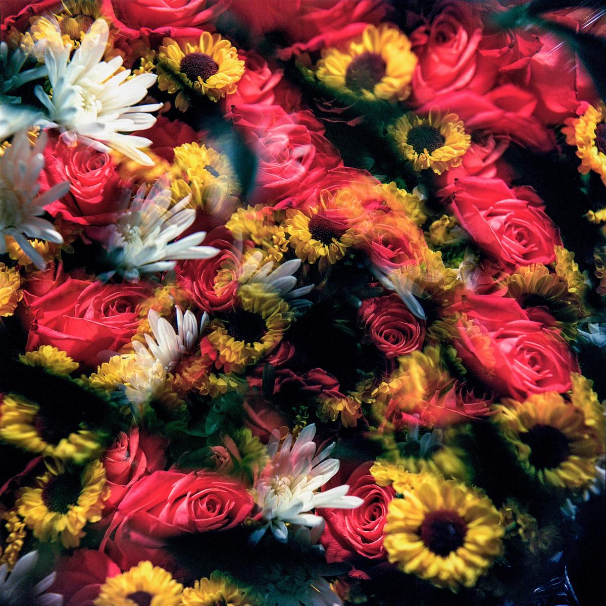 A vibrant bouquet of red roses, yellow sunflowers, and white chrysanthemums is captured with multiple exposures.