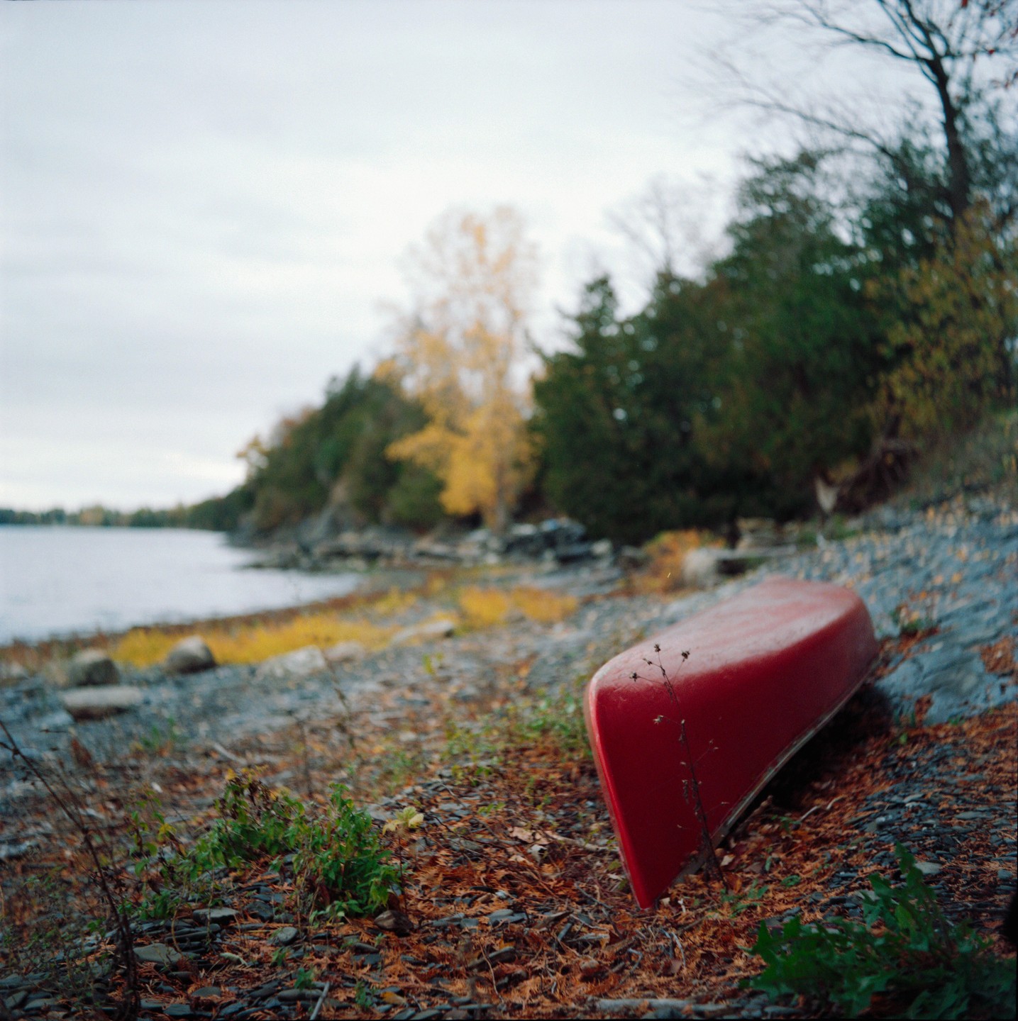 An overturned red canoe rests on a rocky and leafy shore next to a lake with trees in the background.