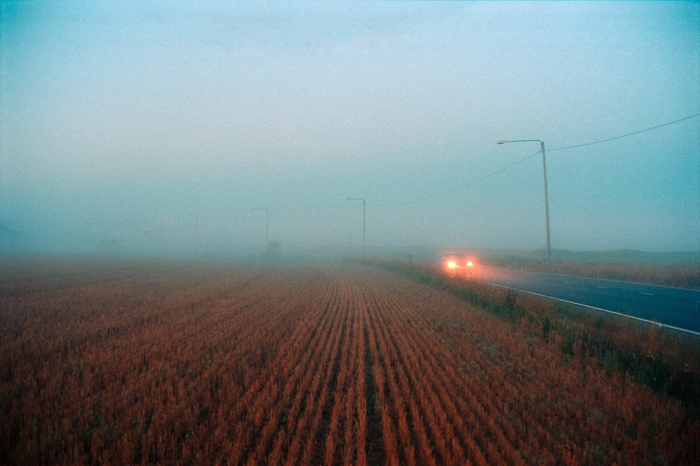 A car with its headlights on drives down a road next to a field in heavy fog.