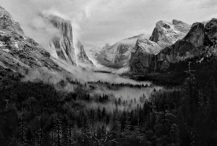 A valley with a forest and mountains is covered in fog.
