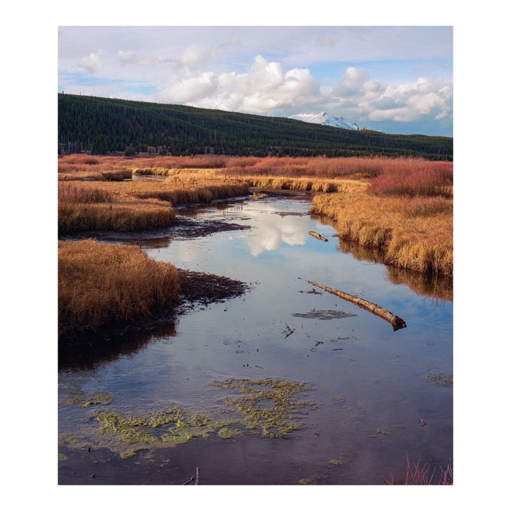 A winding river flows through marshes with golden grass and red bushes, reflecting the sky and clouds, with a forest and snow-capped mountain in the background.
